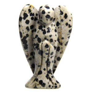Dalmation